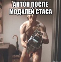 антон после модулей стаса 