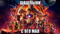 шашлыки с 9го мая