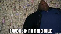  главный по пшенице