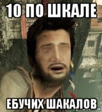 10 по шкале ебучих шакалов
