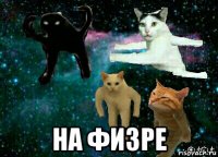  на физре