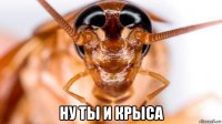  ну ты и крыса