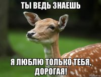 ты ведь знаешь я люблю только тебя, дорогая!
