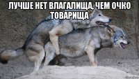 лучше нет влагалища, чем очко товарища 