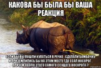 какова бы была бы ваша реакция если бы вы пошли купаться в речке , сделали бомбочку и приземлились бы на этом месте где ссал носорог , причём около этого самого ссущего носорога ?