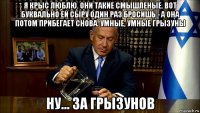 я крыс люблю. они такие смышленые. вот буквально ей сыру один раз бросишь - а она потом прибегает снова. умные, умные грызуны ну... за грызунов
