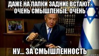 даже на лапки задние встают. очень смышленые. очень ну... за смышленность