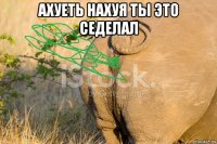 ахуеть нахуя ты это седелал 