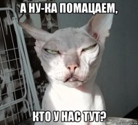 а ну-ка помацаем, кто у нас тут?