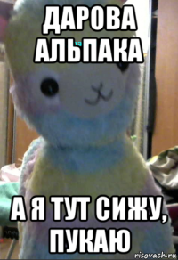 дарова альпака а я тут сижу, пукаю