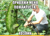 привяжи меня пожайлуста, хозяин
