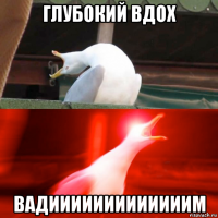 глубокий вдох вадииииииииииииим
