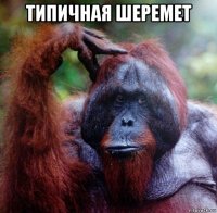 типичная шеремет 
