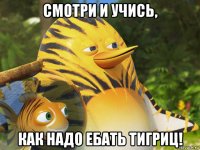 смотри и учись, как надо ебать тигриц!