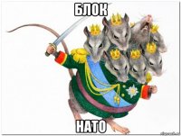 блок нато