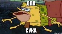 опа сука