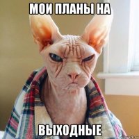 мои планы на выходные