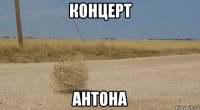 концерт антона