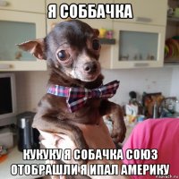 я соббачка кукуку я собачка союз отобрашли я ипал америку