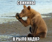 свинины в рыло надо?