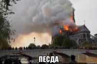 песда