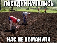 посадки начались нас не обманули