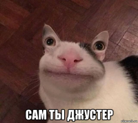  сам ты джустер