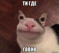ти где говно