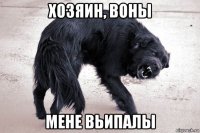 хозяин, воны мене вьипалы