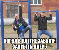 когда в клетке забыли закрыть дверь