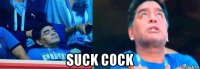  suck cock