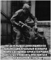  когда услышал доносящийся из канализации печальный вскукарек мокрого всушника хероя ато и решил достать его повесить просушиться на фонарном столбе
