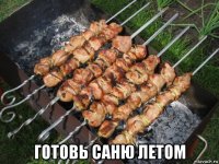  готовь саню летом