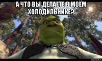 а что вы делаете в моём холодильнике? 