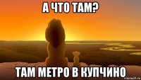 а что там? там метро в купчино