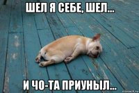 шел я себе, шел... и чо-та приуныл...