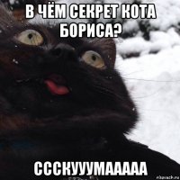 в чём секрет кота бориса? ссскууумааааа