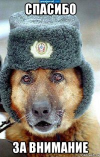 спасибо за внимание