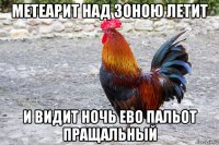 метеарит над зоною летит и видит ночь ево пальот пращальный