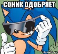 соник одобряет 