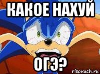 какое нахуй огэ?