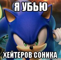 я убью хейтеров соника