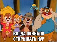  когда позвали открывать кур