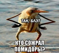  кто сожрал помидоры?