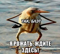  я рожать, ждите здесь!