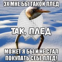 эх мне бы такой плед может я бы и не стал покупать себе плед!