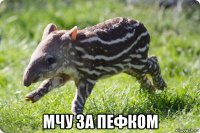  мчу за пефком