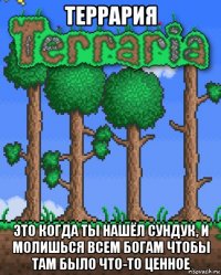 террария это когда ты нашёл сундук, и молишься всем богам чтобы там было что-то ценное
