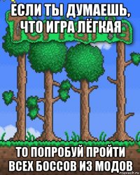 если ты думаешь, что игра лёгкая то попробуй пройти всех боссов из модов