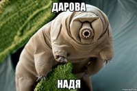 дарова надя